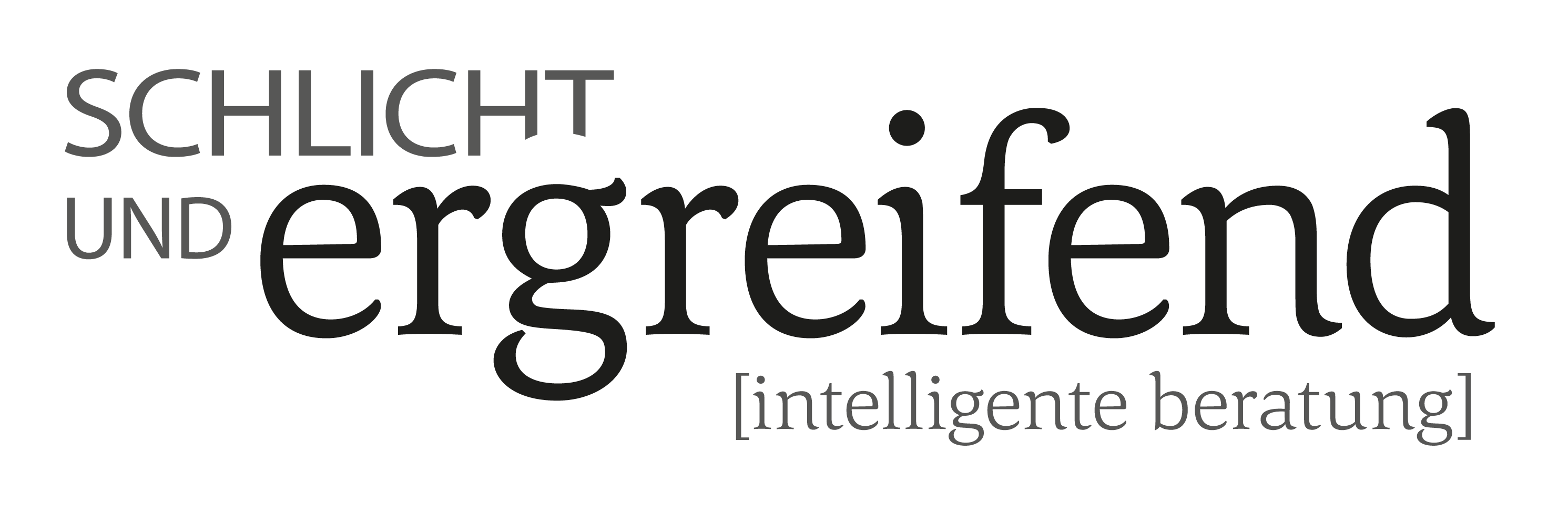 Logo schlicht und ergreifend die werbeagentur, intelligente Beratung